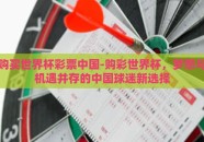 购买世界杯彩票中国-购彩世界杯，梦想与机遇并存的中国球迷新选择