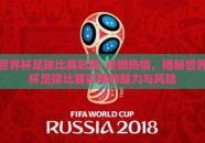 世界杯足球比赛彩票-点燃热情，揭秘世界杯足球比赛彩票的魅力与风险