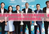 支付宝世界杯竞猜-支付宝世界杯竞猜，全民狂欢与数字娱乐的新风尚