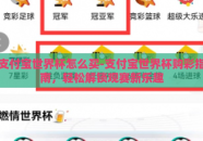 支付宝世界杯怎么买-支付宝世界杯购彩指南，轻松解锁观赛新乐趣