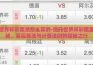 世界杯彩票是怎么算的-揭开世界杯彩票奥秘，幕后算法与计算法则的探秘之行
