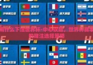 用什么下注世界杯-中心议题，世界杯赛事的赌注选择策略