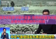 世界杯彩票中国中奖率-世界杯热度与中国彩票中奖概率的平行视窗