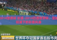2014世界杯 彩票-2014巴西世界杯，足球狂澜下的彩票风潮