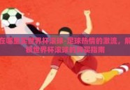在哪里买世界杯滚球-足球热情的激流，解锁世界杯滚球的购买指南