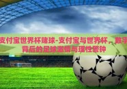 支付宝世界杯赌球-支付宝与世界杯，数字背后的足球激情与理性警钟