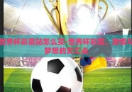 世界杯彩票站怎么买-世界杯彩票，激情与梦想的交汇点