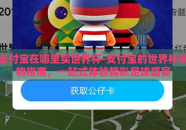 支付宝在哪里买世界杯-支付宝的世界杯购物指南，一站式体验精彩足球盛宴