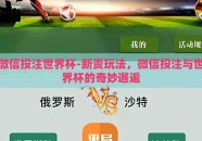 微信投注世界杯-新贵玩法，微信投注与世界杯的奇妙邂逅