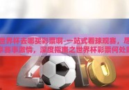 世界杯去哪买彩票啊-一站式看球观赛，尽享赛事激情，深度指南之世界杯彩票何处购