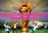 世界杯彩票怎么吗-足坛盛宴的数字魔法，世界杯彩票的魅力与智巧
