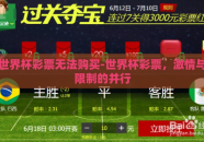 世界杯彩票无法购买-世界杯彩票，激情与限制的并行