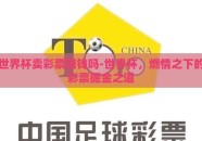 世界杯卖彩票赚钱吗-世界杯，燃情之下的彩票掘金之道