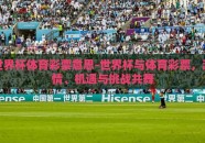 世界杯体育彩票意思-世界杯与体育彩票，激情、机遇与挑战共舞