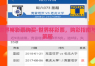 世界杯彩票购买-世界杯彩票，购彩指南与策略