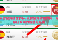 支付宝竞猜世界杯-支付宝竞猜世界杯，足球狂欢中的智慧与乐趣