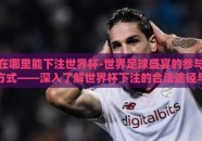 在哪里能下注世界杯-世界足球盛宴的参与方式——深入了解世界杯下注的合法途径与责任