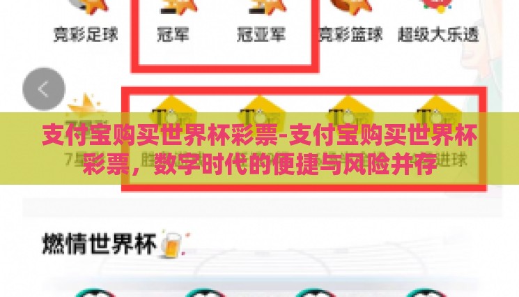 支付宝购买世界杯彩票-支付宝购买世界杯彩票,数字时代的便捷与风险并存 支付宝购买世界杯彩票-支付宝购买世界杯彩票,数字时代的便捷与风险并存