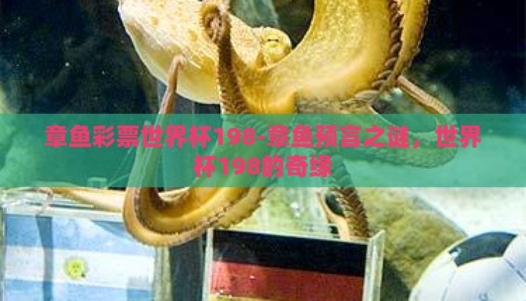 章鱼彩票世界杯198-章鱼预言之谜,世界杯198的奇缘 章鱼彩票世界杯198-章鱼预言之谜,世界杯198的奇缘