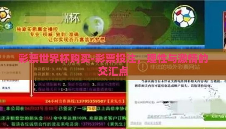 彩票世界杯购买-彩票投注,理性与激情的交汇点 彩票世界杯购买-彩票投注,理性与激情的交汇点
