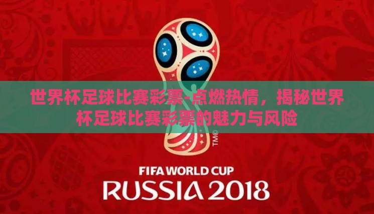 世界杯足球比赛彩票-点燃热情，揭秘世界杯足球比赛彩票的魅力与风险