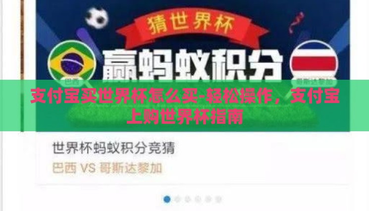 支付宝买世界杯怎么买-轻松操作,支付宝上购世界杯指南 支付宝买世界杯怎么买-轻松操作,支付宝上购世界杯指南