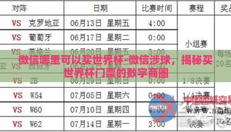 微信哪里可以买世界杯-微信涉球，揭秘买世界杯门票的数字商圈