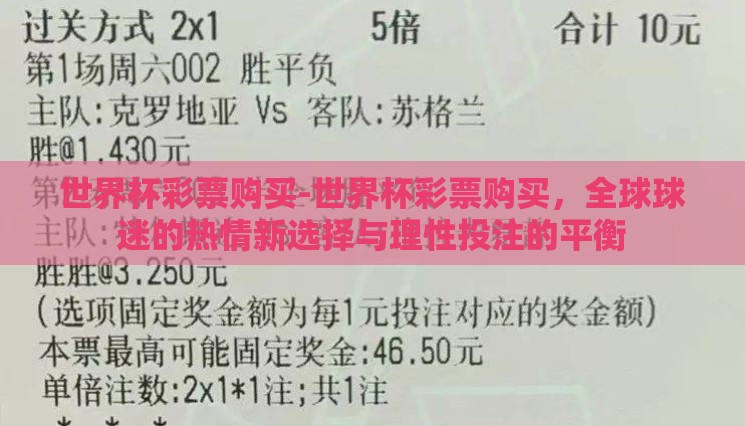世界杯彩票购买-世界杯彩票购买，全球球迷的热情新选择与理性投注的平衡