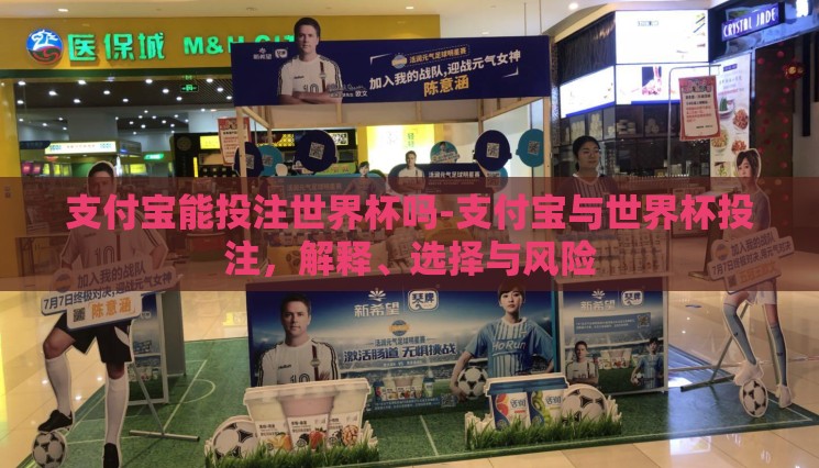 支付宝能投注世界杯吗-支付宝与世界杯投注,解释、选择与风险 支付宝能投注世界杯吗-支付宝与世界杯投注,解释、选择与风险