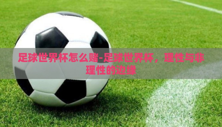 足球世界杯怎么赌-足球世界杯，理性与非理性的边缘