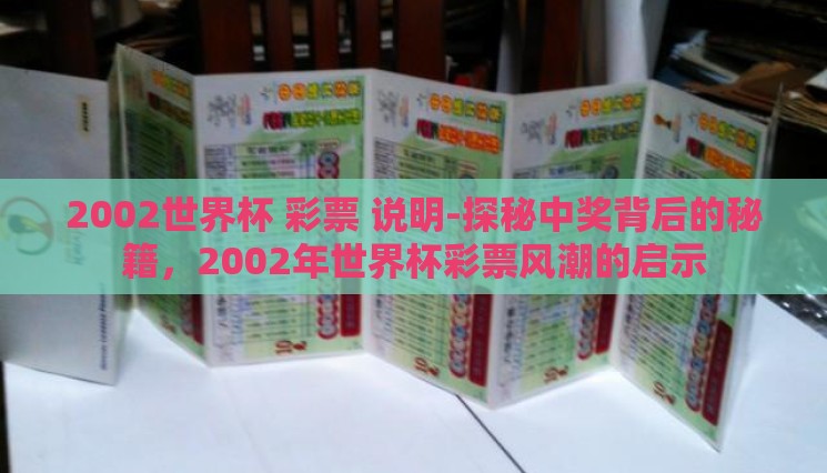 2002世界杯 彩票 说明-探秘中奖背后的秘籍，2002年世界杯彩票风潮的启示