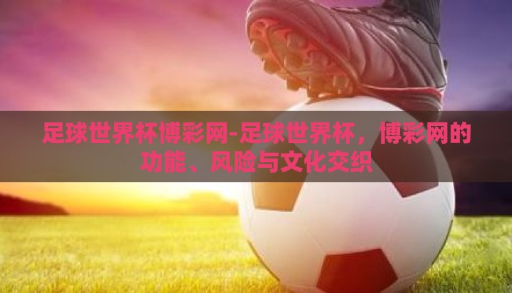足球世界杯博彩网-足球世界杯,博彩网的功能、风险与文化交织 足球世界杯博彩网-足球世界杯,博彩网的功能、风险与文化交织