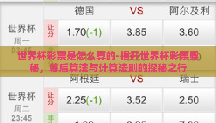 世界杯彩票是怎么算的-揭开世界杯彩票奥秘，幕后算法与计算法则的探秘之行