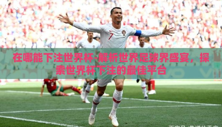 在哪能下注世界杯-解析世界足球界盛宴,探索世界杯下注的最佳平台 在哪能下注世界杯-解析世界足球界盛宴,探索世界杯下注的最佳平台