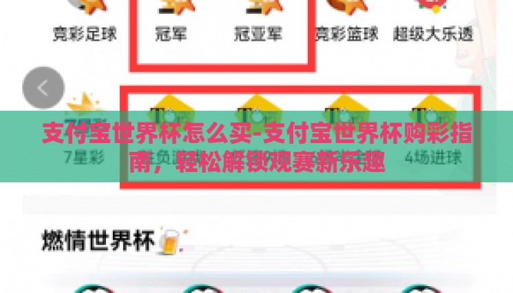 支付宝世界杯怎么买-支付宝世界杯购彩指南，轻松解锁观赛新乐趣