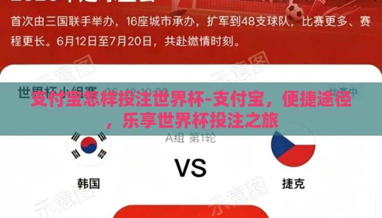 支付宝怎样投注世界杯-支付宝，便捷途径，乐享世界杯投注之旅