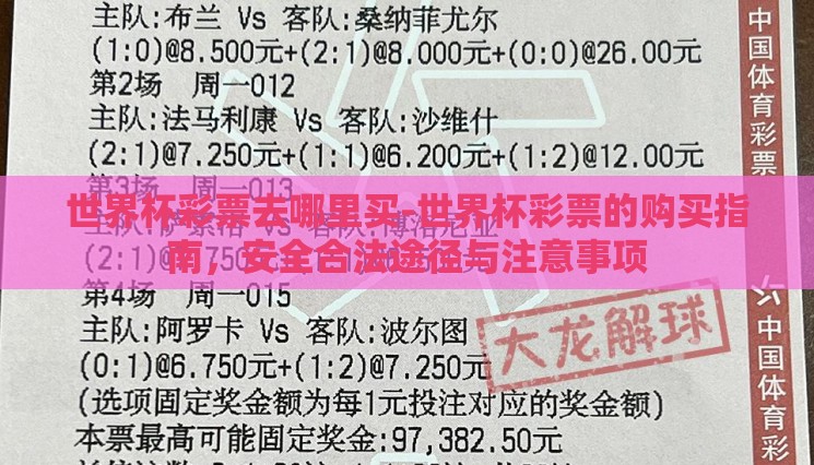 世界杯彩票去哪里买-世界杯彩票的购买指南，安全合法途径与注意事项