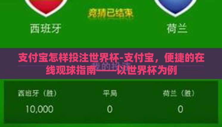 支付宝怎样投注世界杯-支付宝，便捷的在线观球指南——以世界杯为例