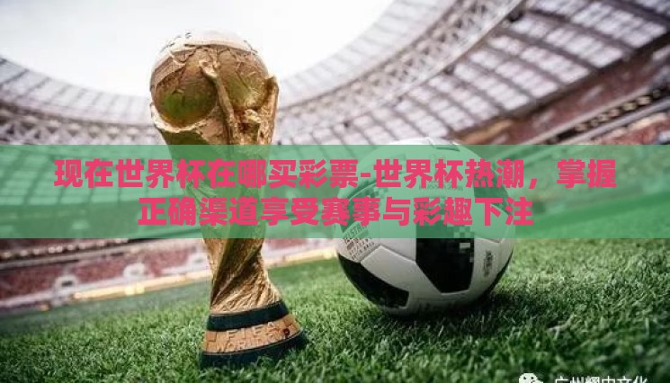 现在世界杯在哪买彩票-世界杯热潮，掌握正确渠道享受赛事与彩趣下注