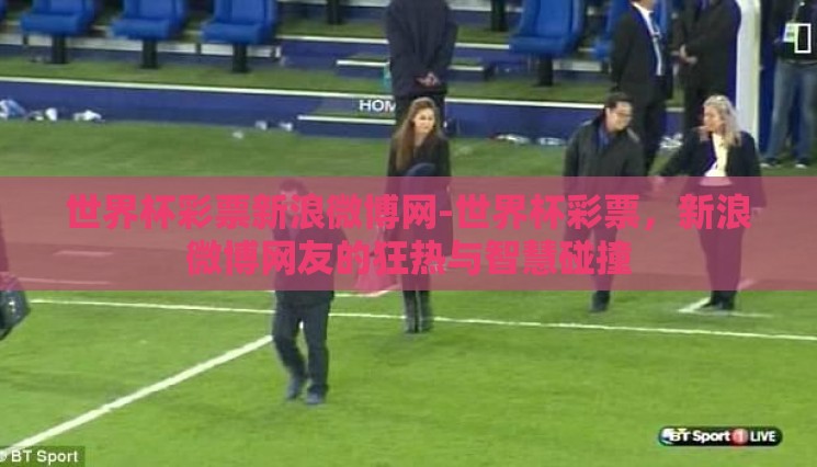 世界杯彩票新浪微博网-世界杯彩票，新浪微博网友的狂热与智慧碰撞