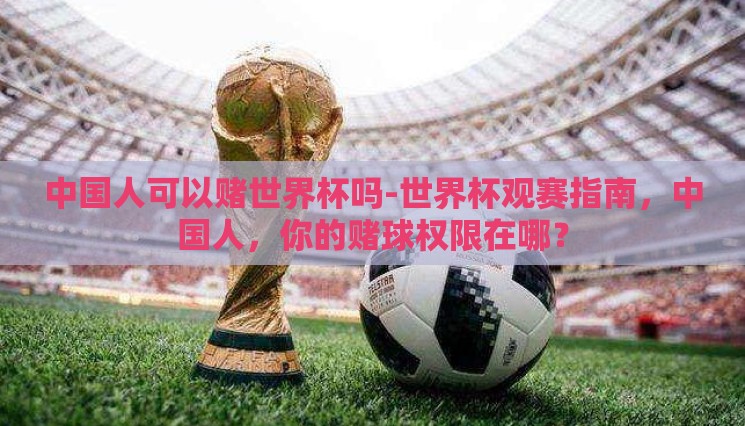 中国人可以赌世界杯吗-世界杯观赛指南，中国人，你的赌球权限在哪？