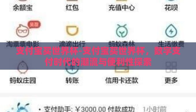 支付宝买世界杯-支付宝买世界杯，数字支付时代的潮流与便利性探索