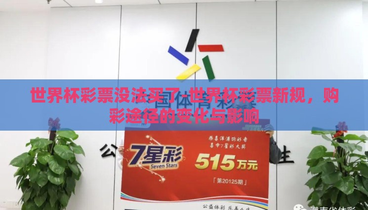 世界杯彩票没法买了-世界杯彩票新规，购彩途径的变化与影响