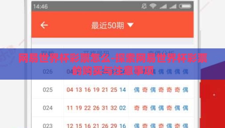 网易世界杯彩票怎么-探索网易世界杯彩票的购买与注意事项