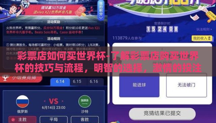 彩票店如何买世界杯-了解彩票店购买世界杯的技巧与流程，明智的选择，激情的投注