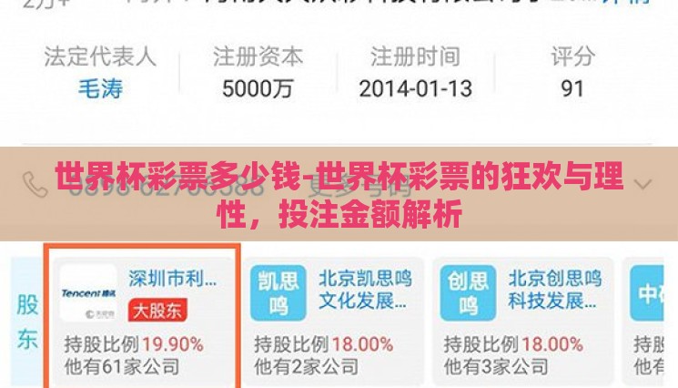 世界杯彩票多少钱-世界杯彩票的狂欢与理性，投注金额解析