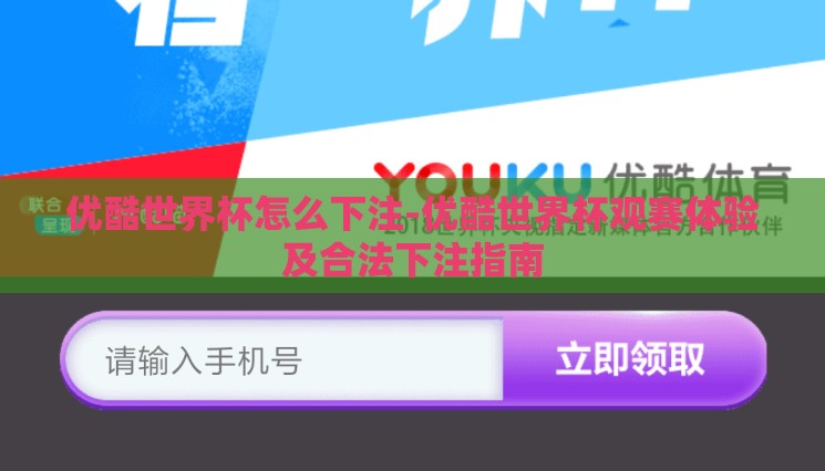 优酷世界杯怎么下注-优酷世界杯观赛体验及合法下注指南