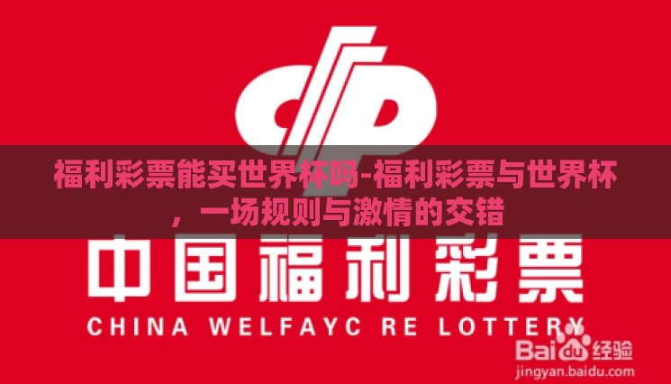 福利彩票能买世界杯吗-福利彩票与世界杯，一场规则与激情的交错
