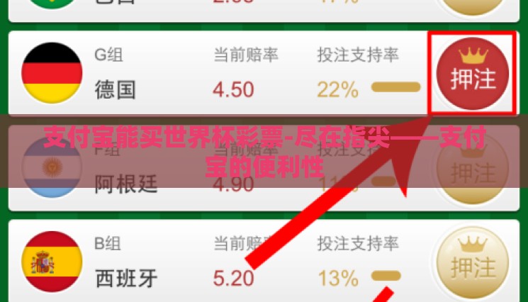支付宝能买世界杯彩票-尽在指尖——支付宝的便利性