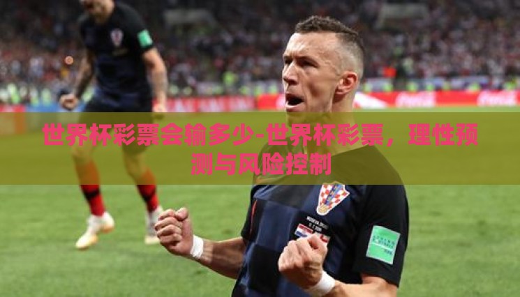 世界杯彩票会输多少-世界杯彩票，理性预测与风险控制